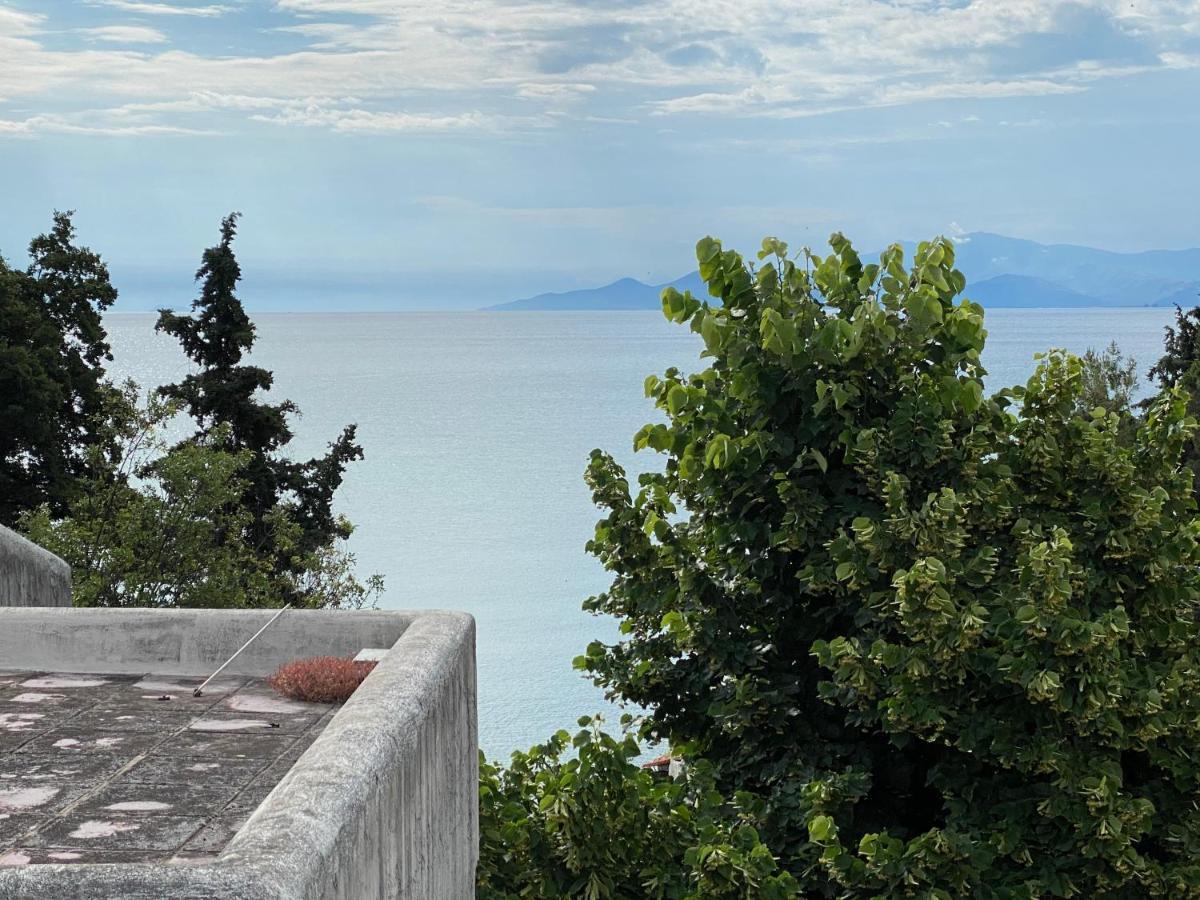 Irini Seaside Apartment PalaiónTsiflíkion Exteriér fotografie