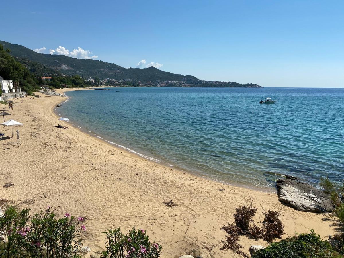 Irini Seaside Apartment PalaiónTsiflíkion Exteriér fotografie