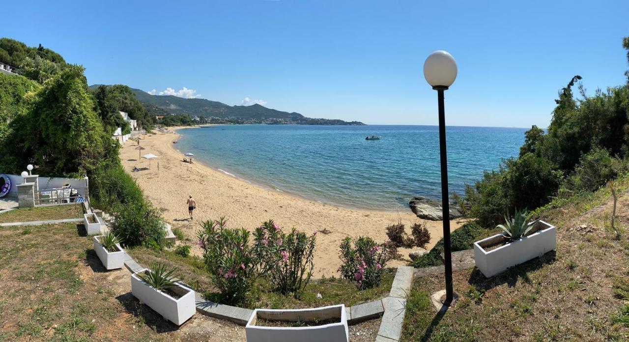 Irini Seaside Apartment PalaiónTsiflíkion Exteriér fotografie
